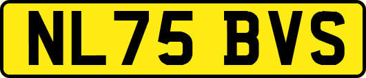 NL75BVS