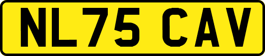 NL75CAV