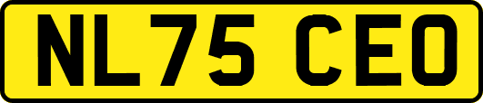 NL75CEO