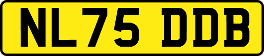 NL75DDB