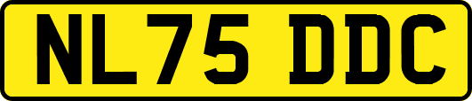 NL75DDC