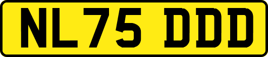 NL75DDD