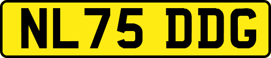 NL75DDG
