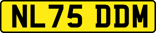 NL75DDM