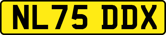 NL75DDX