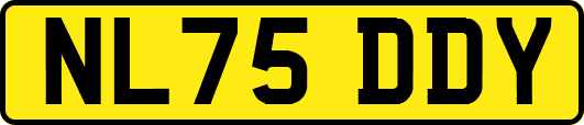 NL75DDY