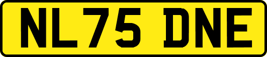 NL75DNE