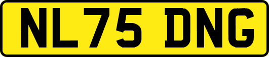 NL75DNG