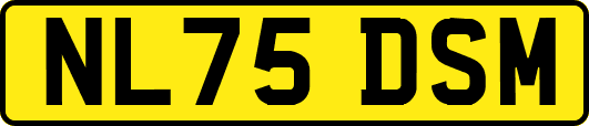 NL75DSM