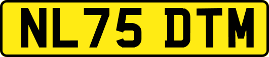 NL75DTM