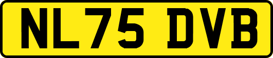 NL75DVB