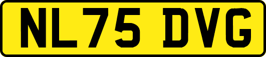 NL75DVG