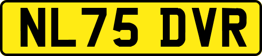 NL75DVR