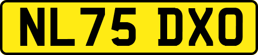 NL75DXO