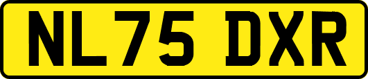NL75DXR