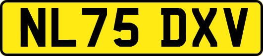 NL75DXV
