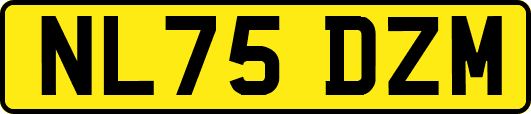 NL75DZM
