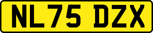 NL75DZX