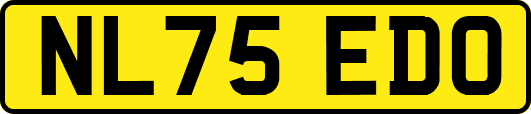 NL75EDO