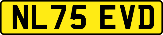 NL75EVD