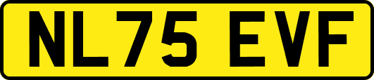 NL75EVF