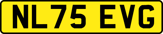 NL75EVG