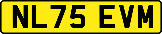 NL75EVM