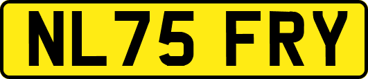 NL75FRY