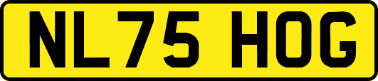NL75HOG