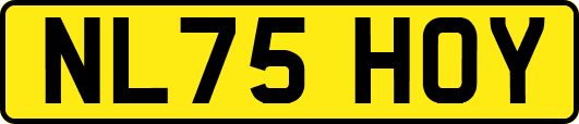 NL75HOY