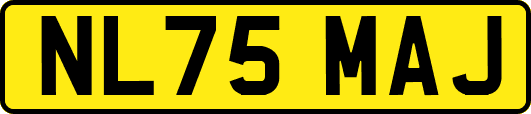 NL75MAJ