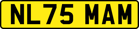 NL75MAM