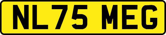 NL75MEG