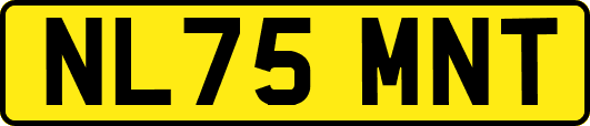 NL75MNT