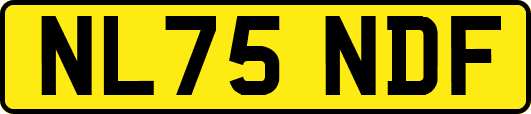 NL75NDF