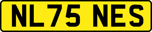 NL75NES