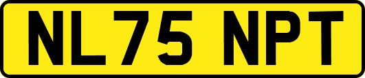 NL75NPT