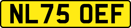 NL75OEF