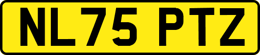 NL75PTZ