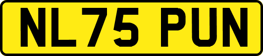 NL75PUN
