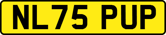 NL75PUP