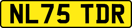 NL75TDR