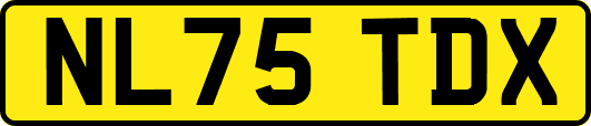 NL75TDX