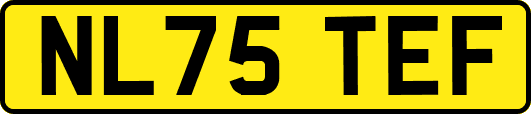 NL75TEF
