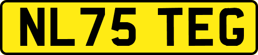 NL75TEG