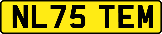 NL75TEM