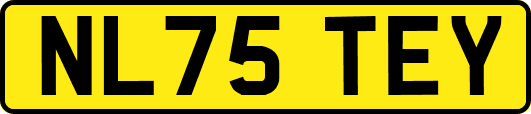 NL75TEY
