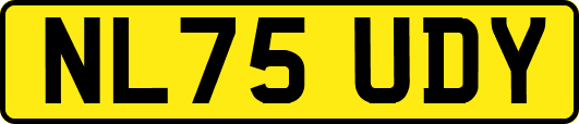 NL75UDY