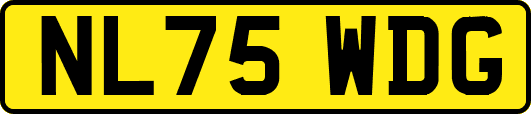 NL75WDG