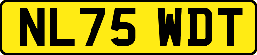 NL75WDT